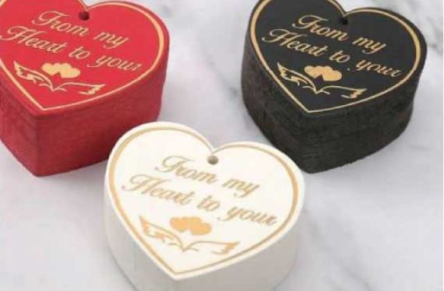  FJ-80 Hot Foil Stamping machine samples 